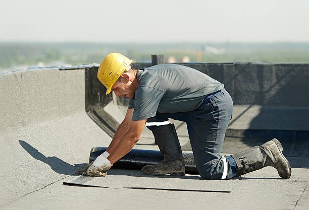 Best Cellulose Insulation in South Venice, FL