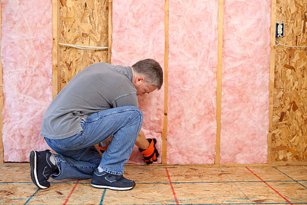 Best Energy Efficiency Insulation in South Venice, FL