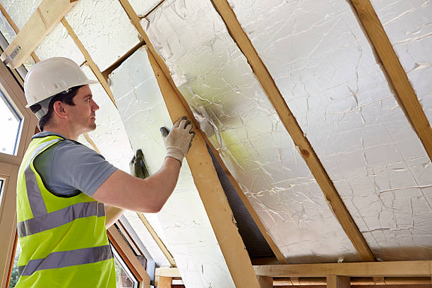 Best Insulation Maintenance and Repair in South Venice, FL