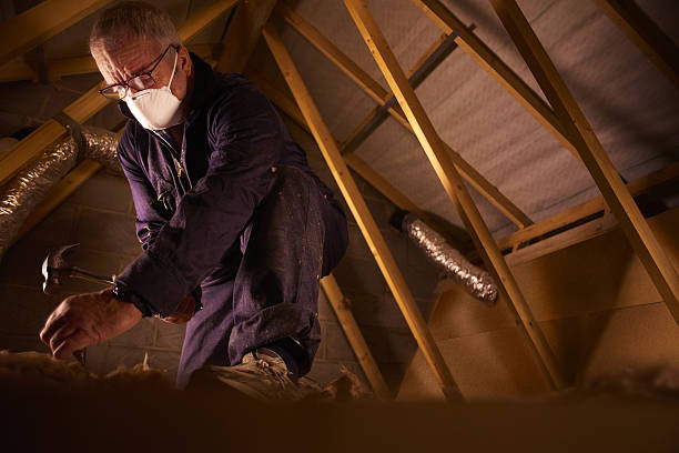 Types of Insulation We Offer in South Venice, FL