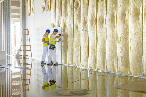 Best Eco-Friendly Insulation in South Venice, FL